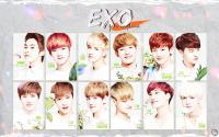 EXO ♥ Nature Republic [วอลล์แก้บน] #10