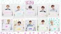 EXO : SO CUTE