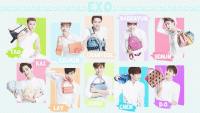 EXO : SO CUTE 2