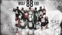 :: WOLF 88 ::