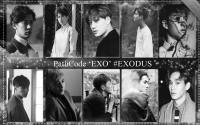 :: Pathcode EXO  'CALL ME BABY' EXODUS ::