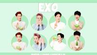 EXO Natural