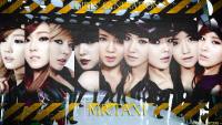 SNSD | All About Mr.Taxi