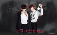 VIXX :: IN THE COLD NIGHT