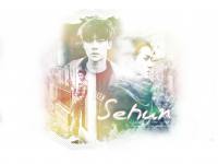 Happy Sehun Day