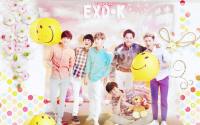 EXO-K