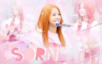 sorn - pink