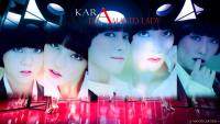 Kara | Damage Lady