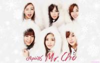 Apink | Mr.Chu In Snow