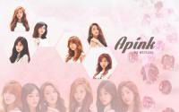 Apink diamond ladies