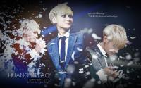 HBD TAO :: HAPPYTAODAY