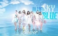 Flower : Blue Sky Blue