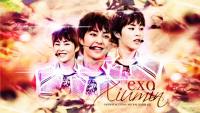 Kim Minseok aka EXO Xiumin | Giant Baby