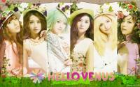 TOP 40 Kpop Girl Groups Of 2013 | #19 Hello Venus
