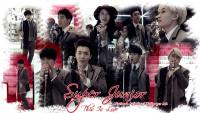 Super Junior | This Is Love MV