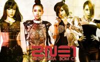 TOP 40 Kpop Girl Groups Of 2013 | #2 2NE1