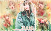 HANI - EXID v.2