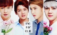 Exo Ivy Club