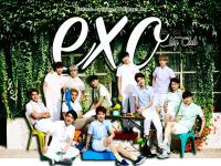 EXO | Ivyclub Nature Ver.