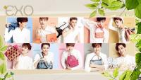 EXO :: MCM X EXO "XOXO" [วอลล์แก้บน] #3