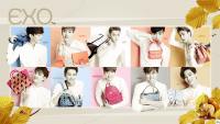 EXO :: MCM X EXO "XOXO" v.2 [วอลล์แก้บน] #5