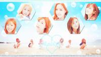 APINK Remember