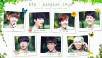 BTS : Bangtan Boys [2nd muster goods photo set]