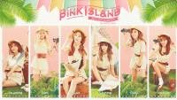 PINK ISLAND [Apink 2nd Concert]