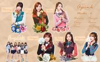 Apink /School & Flower