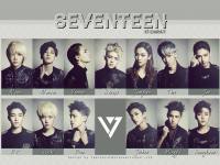 SEVENTEEN :: 17 CARAT