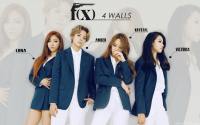 F(x) 4 walls ver.2