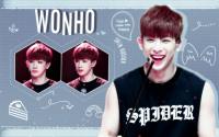 wonho monsta x