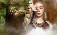 GAYOON l dangers forest