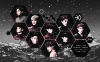 EXO :: SING FOR YOU #3