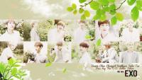 EXO ♥ Nature Republic [วอลล์แก้บน] #24