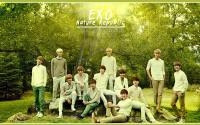 EXO l Nature Rupublic