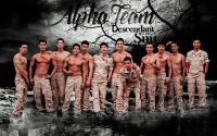 descendant of the sun  Alpha Team