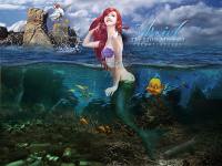 Ariel : Part of my world