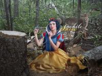 Snow White : Who destroyed my forest ?