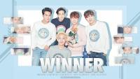 WINNER - ORDINARY LOVE