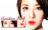 Sandara Park - 2NE1