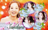 Sandara Park - 2NE1.