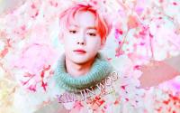 KIMJINWOO-WINNER