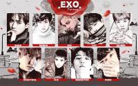 EXO For W KOREA  [ EXOCLUSIVE 2016 ]