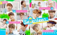 Seventeen ♥ Very Nice  [Repackage Album]