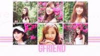 Gfriend navillera