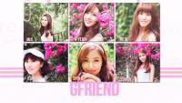 Gfriend navillera