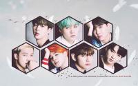 BANGTAN // Japan Profile Photo