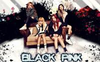 ''BLACK PINK''