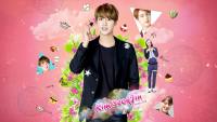 HBD Jin BTS 2016